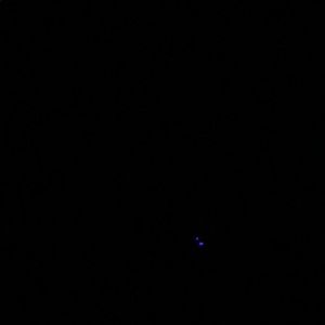 Meet your Posher, Gregory